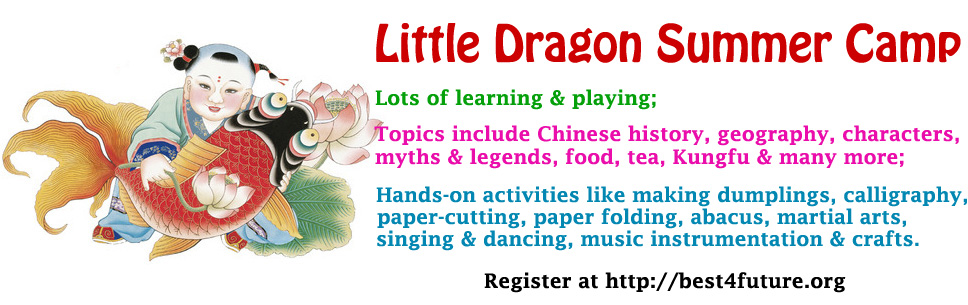 Little Dragon Summer Camp